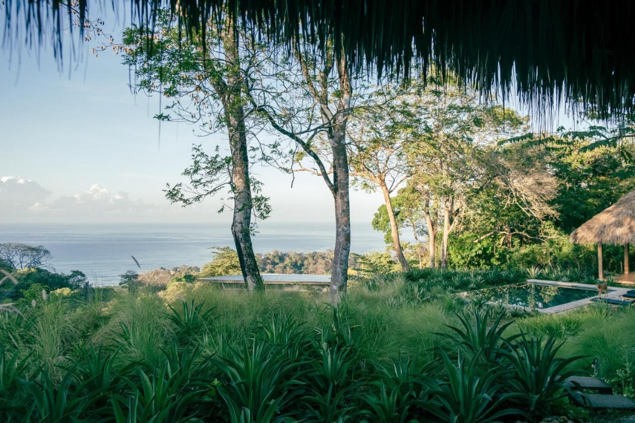 Thea Resort & Retreats - Santa Teresa Playa Santa Teresa  Экстерьер фото