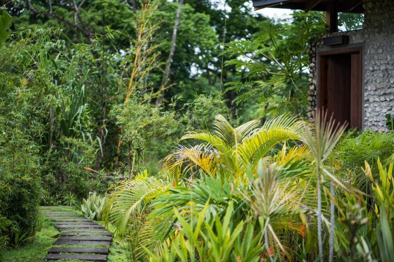 Thea Resort & Retreats - Santa Teresa Playa Santa Teresa  Экстерьер фото